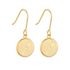 Round New Zealand/Aotearoa Map Pendant Earrings