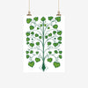 Ali Davies Kawakawa Tea Towel