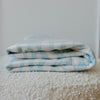 Minky Blanket