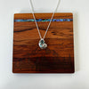S/S & Paua Spirula Shell  Necklace